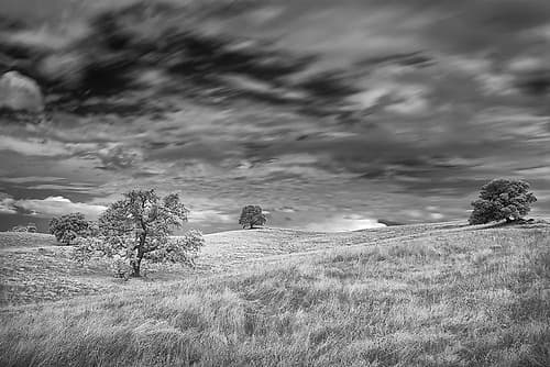 Infrared image of clouds-grasslands and oak trees in Amador County Landscape Print